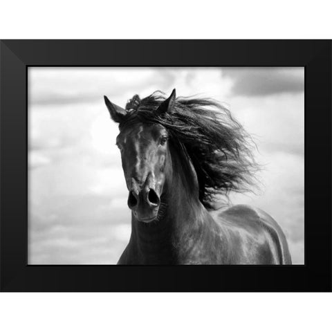 Breath of Life Black Modern Wood Framed Art Print by Stromberg, Tony