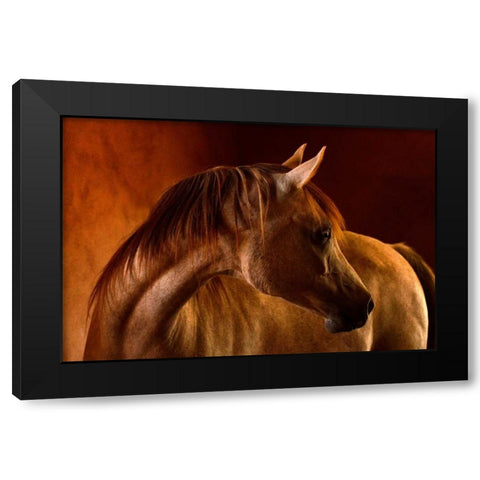 Clay Black Modern Wood Framed Art Print by Stromberg, Tony