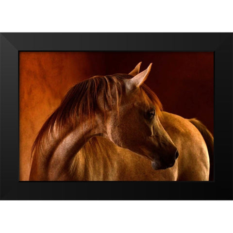 Clay Black Modern Wood Framed Art Print by Stromberg, Tony