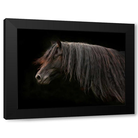 Ebony Black Modern Wood Framed Art Print with Double Matting by Stromberg, Tony