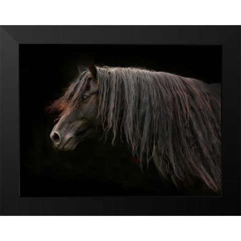 Ebony Black Modern Wood Framed Art Print by Stromberg, Tony