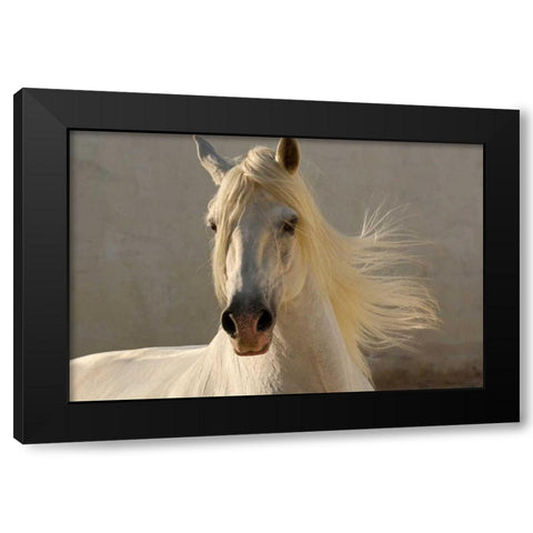 Elegance Black Modern Wood Framed Art Print with Double Matting by Stromberg, Tony