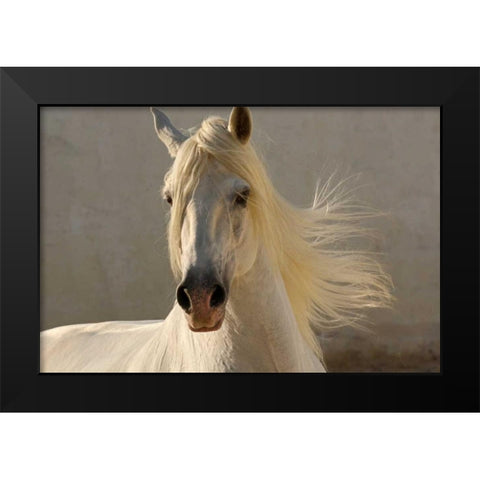 Elegance Black Modern Wood Framed Art Print by Stromberg, Tony