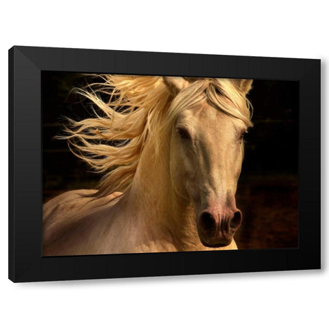 Kieto II Black Modern Wood Framed Art Print with Double Matting by Stromberg, Tony