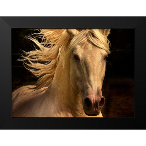 Kieto II Black Modern Wood Framed Art Print by Stromberg, Tony