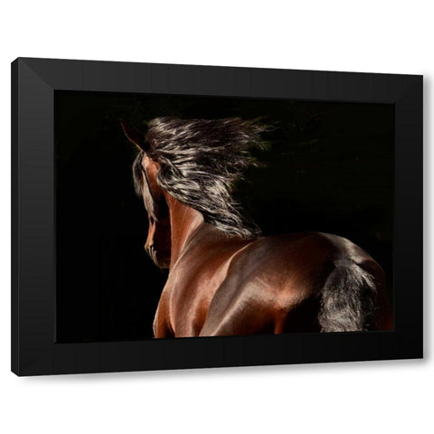 Reflection Black Modern Wood Framed Art Print by Stromberg, Tony