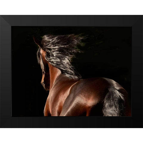 Reflection Black Modern Wood Framed Art Print by Stromberg, Tony