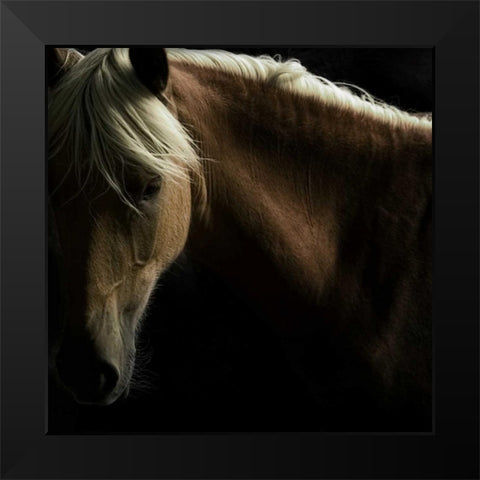 Spirit Horse Black Modern Wood Framed Art Print by Stromberg, Tony