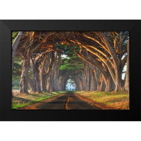 Tunnel of Light Black Modern Wood Framed Art Print by Sie, Lee
