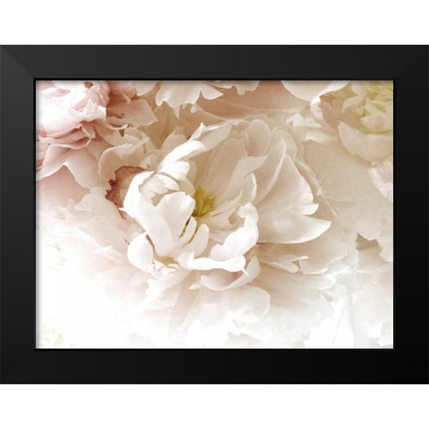 Froth Black Modern Wood Framed Art Print by Stalus, Judy