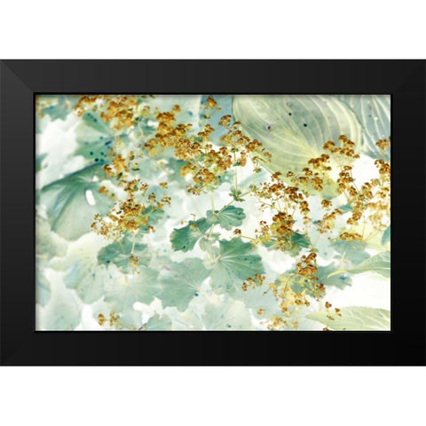 Golden Ladys Mantle Black Modern Wood Framed Art Print by Stalus, Judy