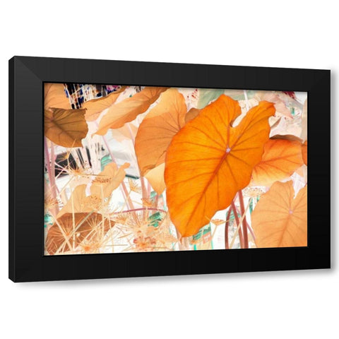 Elephant Ears Black Modern Wood Framed Art Print by Stalus, Judy