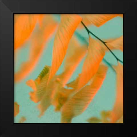 Fern Dance 1 Black Modern Wood Framed Art Print by Stalus, Judy