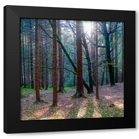 Lean On Me Black Modern Wood Framed Art Print with Double Matting by Schneidersmann, Anne