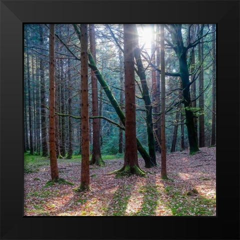 Lean On Me Black Modern Wood Framed Art Print by Schneidersmann, Anne