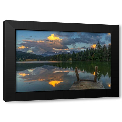 Late Swim Black Modern Wood Framed Art Print by Schneidersmann, Anne