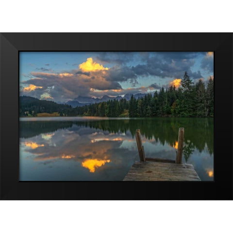 Late Swim Black Modern Wood Framed Art Print by Schneidersmann, Anne