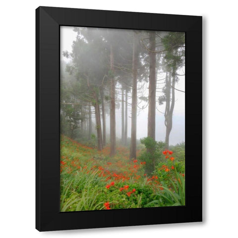 Forest of The Flowers Black Modern Wood Framed Art Print with Double Matting by Schneidersmann, Anne