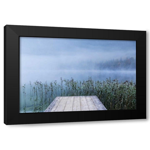 Surrounded Black Modern Wood Framed Art Print by Schneidersmann, Anne