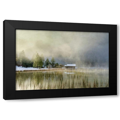 First Touch of Snow Black Modern Wood Framed Art Print by Schneidersmann, Anne