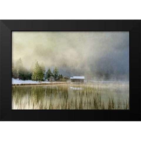 First Touch of Snow Black Modern Wood Framed Art Print by Schneidersmann, Anne