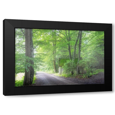 Frenzy Green Black Modern Wood Framed Art Print by Schneidersmann, Anne