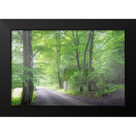 Frenzy Green Black Modern Wood Framed Art Print by Schneidersmann, Anne