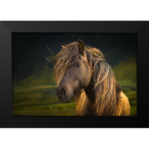 Born To Be Wild Black Modern Wood Framed Art Print by Schneidersmann, Anne