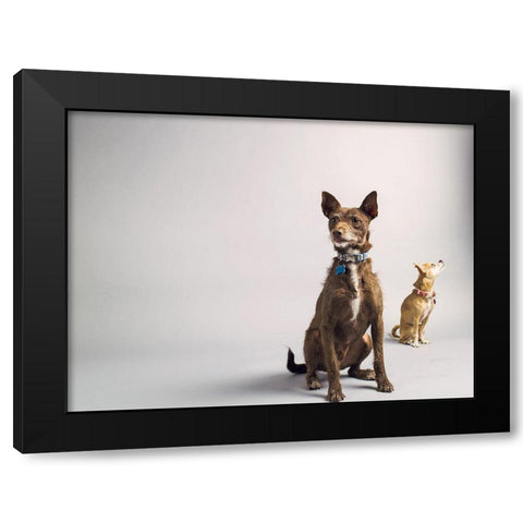 Nope Black Modern Wood Framed Art Print with Double Matting by Sabo, Susan