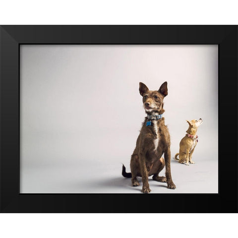 Nope Black Modern Wood Framed Art Print by Sabo, Susan