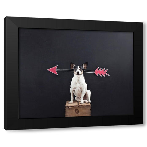 Prankster Black Modern Wood Framed Art Print with Double Matting by Sabo, Susan