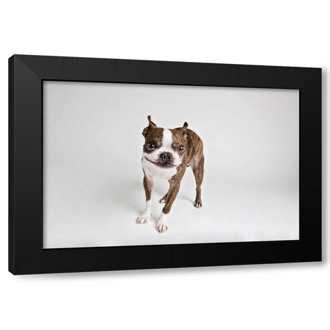 Kevin Black Modern Wood Framed Art Print with Double Matting by Sabo, Susan