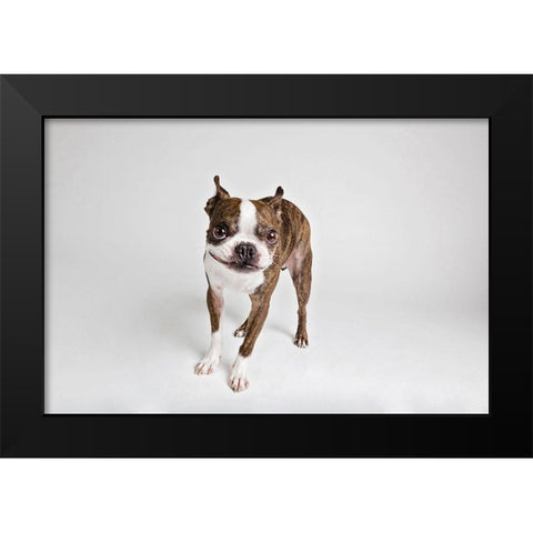 Kevin Black Modern Wood Framed Art Print by Sabo, Susan