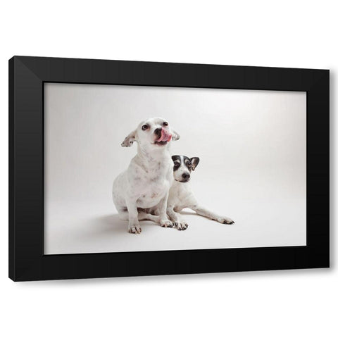 Mouse and Jack Black Modern Wood Framed Art Print with Double Matting by Sabo, Susan