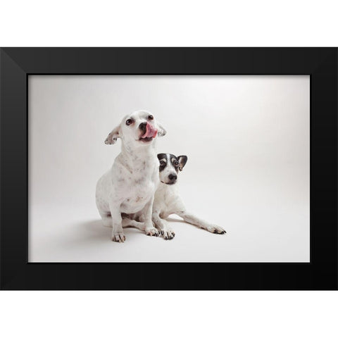 Mouse and Jack Black Modern Wood Framed Art Print by Sabo, Susan