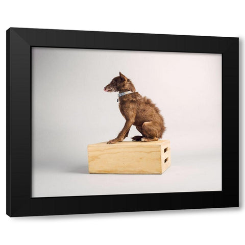 Side Eye Black Modern Wood Framed Art Print with Double Matting by Sabo, Susan