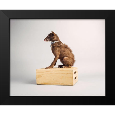 Side Eye Black Modern Wood Framed Art Print by Sabo, Susan
