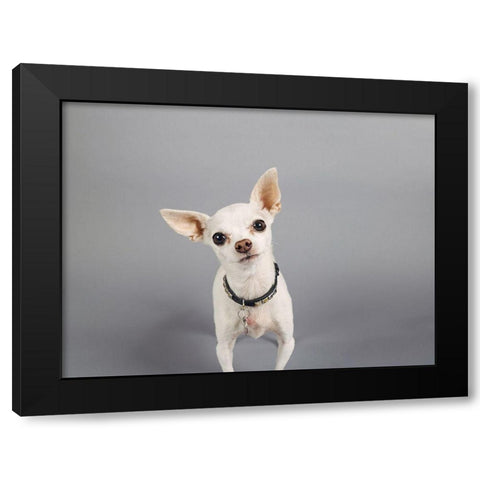 Psssstâ€¦ Black Modern Wood Framed Art Print with Double Matting by Sabo, Susan