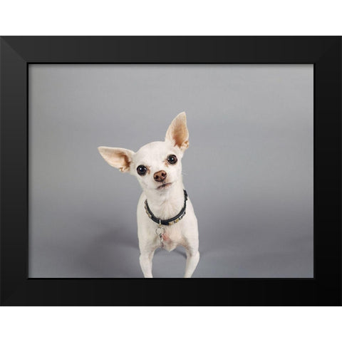 Psssstâ€¦ Black Modern Wood Framed Art Print by Sabo, Susan