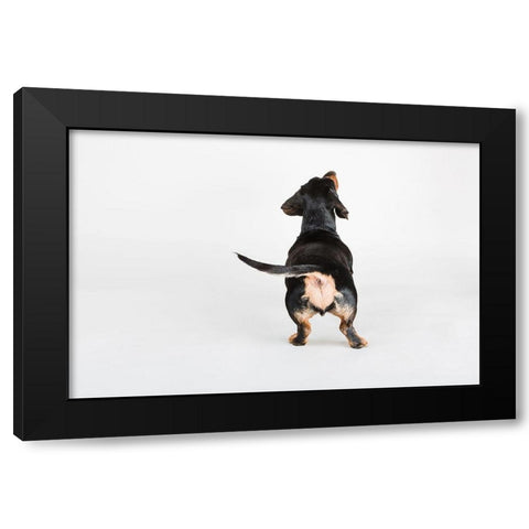 The Butt Black Modern Wood Framed Art Print with Double Matting by Sabo, Susan