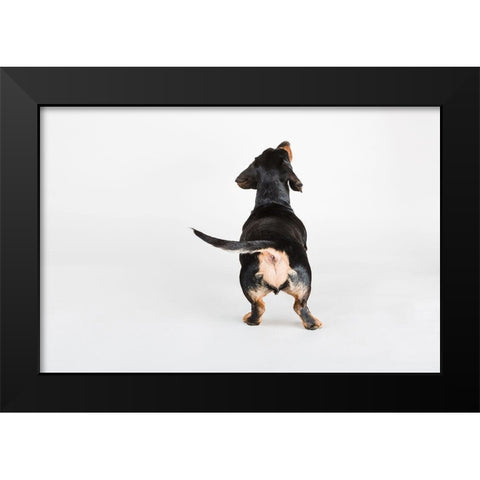 The Butt Black Modern Wood Framed Art Print by Sabo, Susan