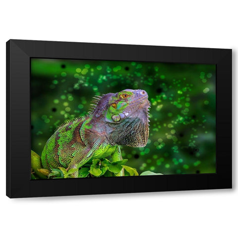 Green Iguana Black Modern Wood Framed Art Print by Spears, Don