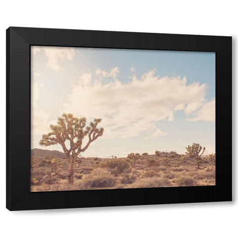 Sunshine and Joshua Trees Black Modern Wood Framed Art Print with Double Matting by Soffia, Myan