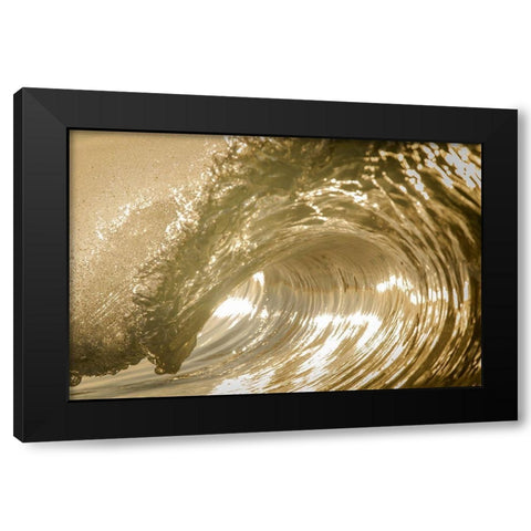 Auricomus Black Modern Wood Framed Art Print with Double Matting by Sieczkiewicz, David A.