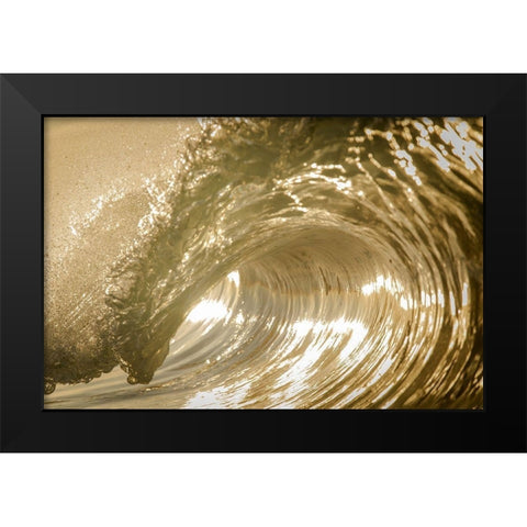 Auricomus Black Modern Wood Framed Art Print by Sieczkiewicz, David A.