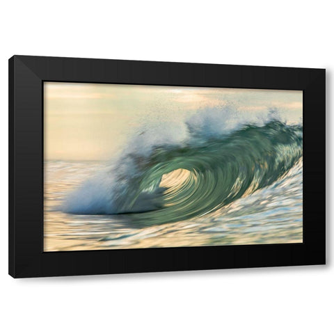 Viridity Black Modern Wood Framed Art Print by Sieczkiewicz, David A.