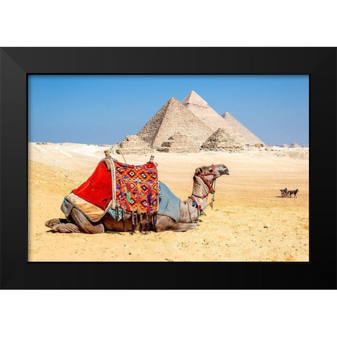 Camel Resting by the Pyramids, Giza, Egypt Black Modern Wood Framed Art Print by Silver, Richard