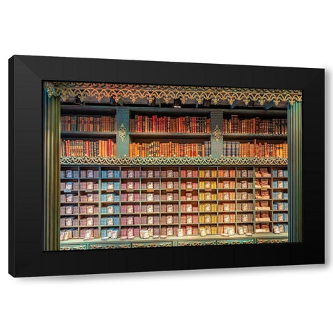 Mundo Fantastico Da Sardhina, Lisbon, Portugal Black Modern Wood Framed Art Print with Double Matting by Silver, Richard