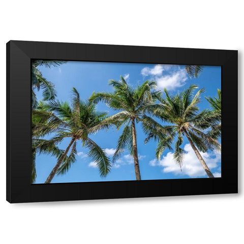 Palawan Palm Trees I Black Modern Wood Framed Art Print with Double Matting by Silver, Richard