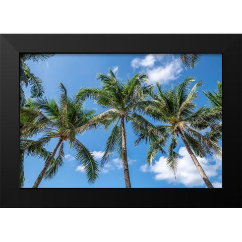 Palawan Palm Trees I Black Modern Wood Framed Art Print by Silver, Richard